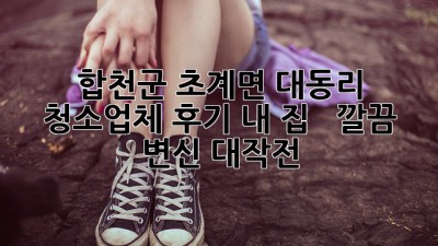 ✨ 합천군 초계면 대동리 청소업체 후기: 내 집 ✨ 🏠 깔끔 변신 대작전! 🧹